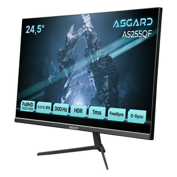 Монитор ASGARD Gaming 24.5" AS255QF IPS Black 300Hz DC588432 фото
