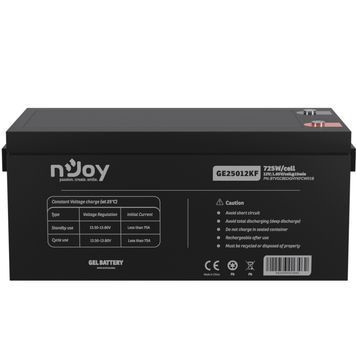 Акумуляторна батарея Njoy GE25012KF 12V 250AH (BTVGCBEOGHYKFCW01B) GEL DC473123 фото